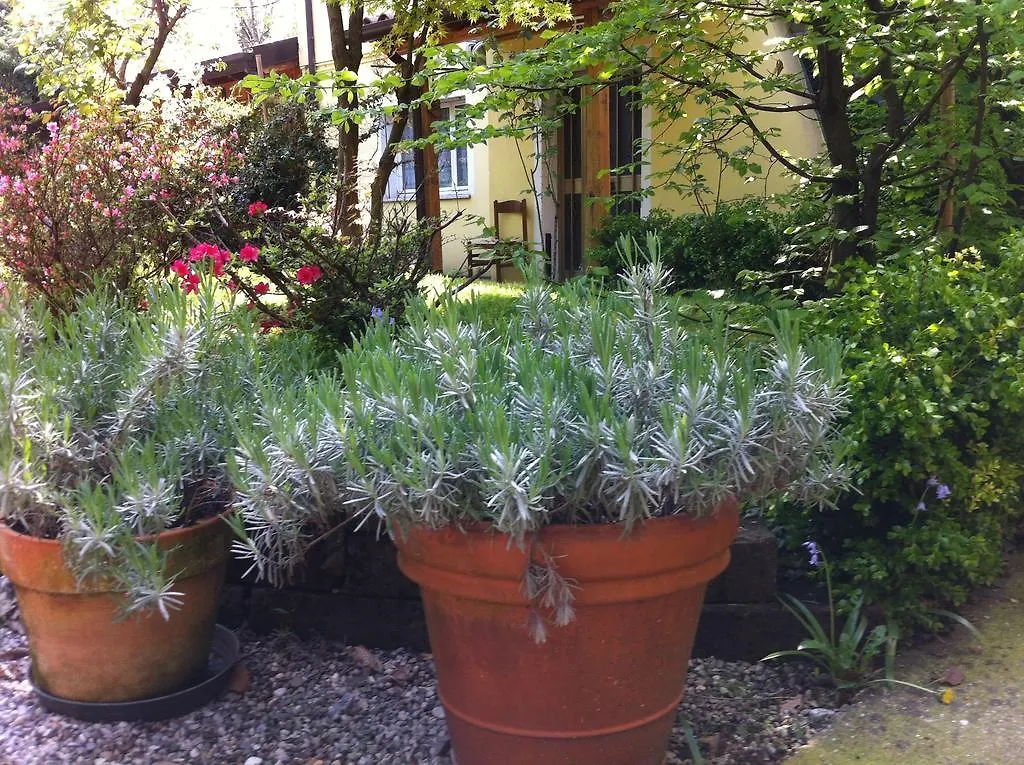 Casa Kirti Bed & Breakfast Marghera